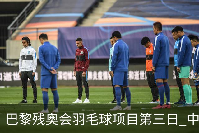 巴黎残奥会羽毛球项目第三日 中国队取得13胜3负
